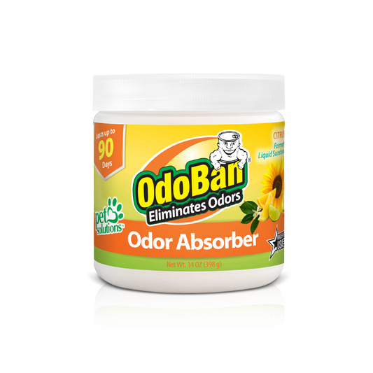 OdoBan Solid Odor Absorber Citrus 14oz