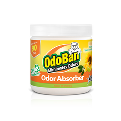 OdoBan Solid Odor Absorber Citrus 14oz