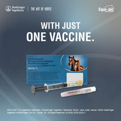 Equi-Jec 6, 1 mL