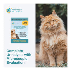 Análisis de orina completo con evaluación microscópica para gatos de Affordable Pet Labs (kit fácil de usar en casa)