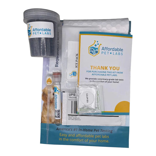 Affordable Pet Labs - Complete Urinalysis with Microscopic Evaluation For Cats, Easy Home Test Kit