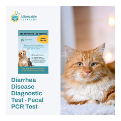 Diarrhea Disease Diagnostic Test - Fecal PCR Test For Cats, Easy Home Kit