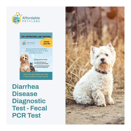 Diarrhea Disease Diagnostic Test - Fecal PCR Test For Dogs, Easy Home Kit