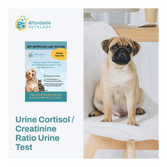 Affordable Pet Labs - Urine Cortisol / Creatinine Ratio Urine Test For Dogs, Easy Home Kit