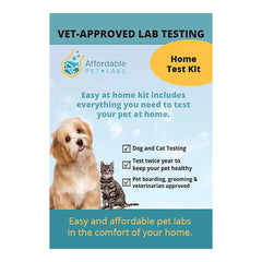 Affordable Pet Labs - Urine Cortisol / Creatinine Ratio Urine Test For Dogs, Easy Home Kit