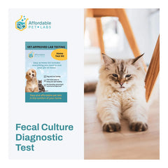 Fecal Culture Diagnostic Test For Cats, Easy Home Kit