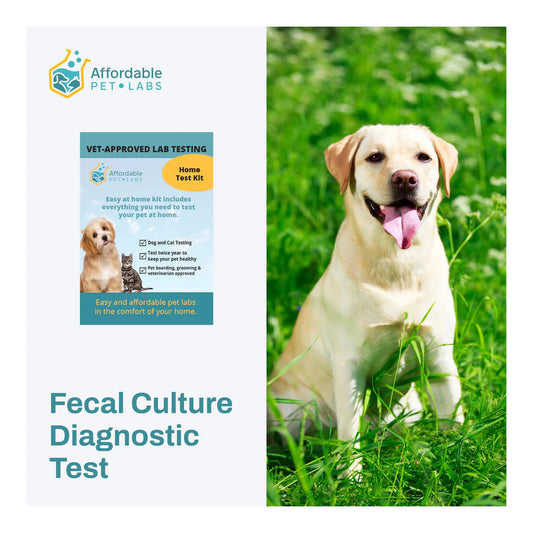 Affordable Pet Labs - Fecal Culture Diagnostic Test For Dogs, Easy Home Kit
