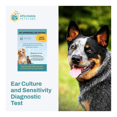 Affordable Pet Labs - Ear Culture and Sensitivity Diagnostic Test For Dogs, Easy Home Kit