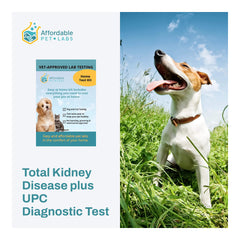 Affordable Pet Labs Total Kidney Disease plus UPC Diagnostic Test For Dogs Easy Home Kit