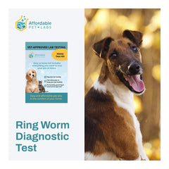 Affordable Pet Labs Ring Worm Diagnostic Test For Dogs Easy Home Collection Kit