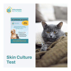 Affordable Pet Labs Skin Culture Test For Cats Easy Home Kit Affordable Pet Labs