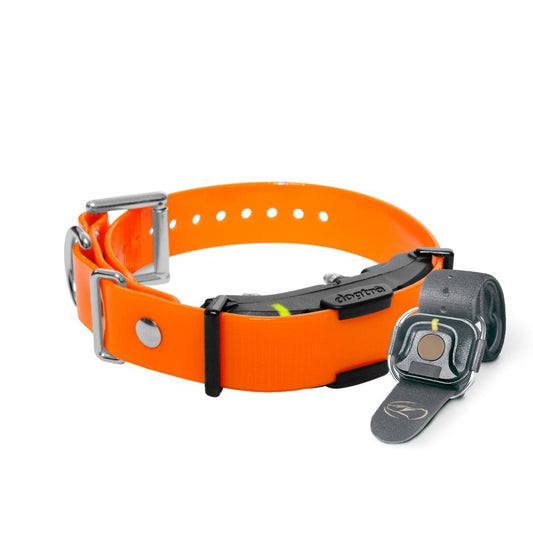 Dogtra ARC Handsfree Plus Boost and Lock Additional Collar Orange – ARC-HANDSFREE-PLUS-RX