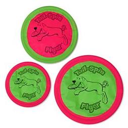 ASPEN Floppy Disc Large 10"