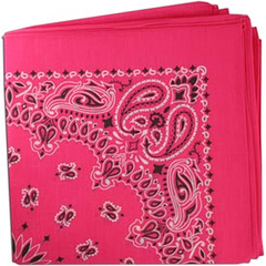 BANDANNA Paisley Hot Pink 12pk