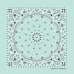 BANDANNA Paisley Mint 12pk