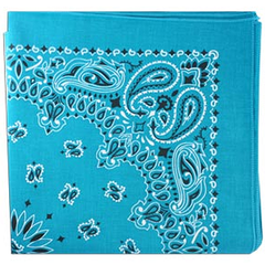 BANDANNA Paisley Turquoise 12pk