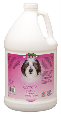 BIO-GROOM Groom'n Fresh Rinse Gallon