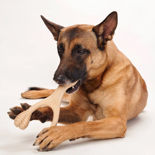 Betterbone Hard, Large Beef