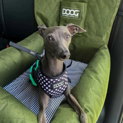 DOOG Pet Car Seat Green 19.5″ x 19.6″ x 14″ – CARSEAT03