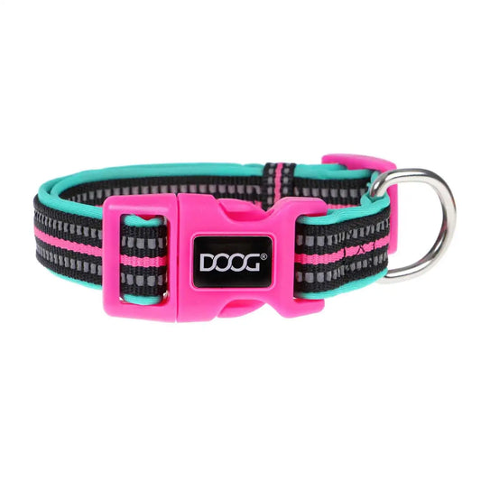 Collar de neopreno para perro DOOG Rin Tin Tin Neón Pequeño Rosa/Negro/Verde Azulado – COLTIN-S