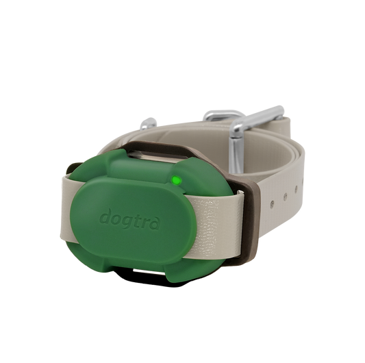 Dogtra CUE Additional Receiver Collar Green – CUE-RX-GREEN
