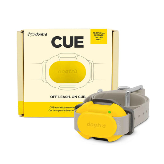 Dogtra CUE Additional Receiver Collar Yellow – CUE-RX-YELLOW