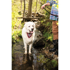 DGS Pet Products Unbugz-It Bandana Large Square Red 13″ x 8″ x 0.1″ – DGSBNDUSQL06