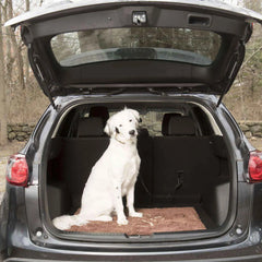 DGS Pet Products Dirty Dog Door Mat Small Mocha Brown 23″ x 16″ x 2″ – DGSDDMP230370