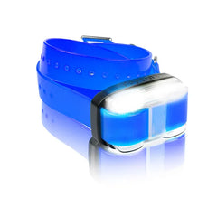 Dogtra EDGE 1 Mile Extra Dog Collar Blue – EDGE-RX-BLU