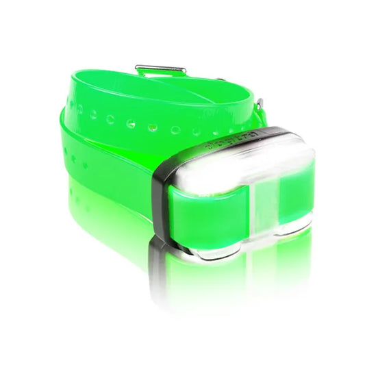 Dogtra EDGE 1 Mile Extra Dog Collar Green – EDGE-RX-GRN