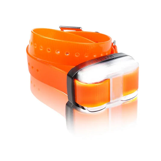 Dogtra EDGE 1 Mile Extra Dog Collar Orange – EDGE-RX-ORG