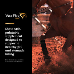 Vita Flex Pro Daily Gastric Care, 16.5 Pounds
