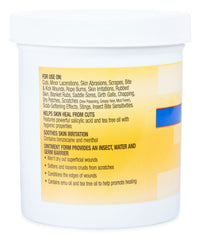 Tri-Care Triple Action Wound Treatment 14oz jar