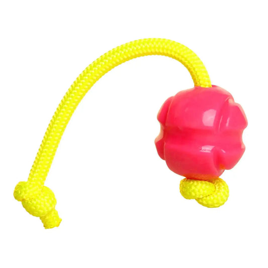 DOOG Fetch-ables Fetch-A-Tug Dog Toy Pink 12″ x 2.75″ x 2.75″ – FBR01