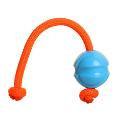 DOOG Fetch-ables Fetch-A-Tug Dog Toy Blue 12″ x 2.75″ x 2.75″ – FBR02