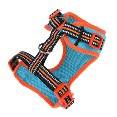 DOOG Neoflex Dog Harness Beethoven Neon Small Orange/Blue – HARBEET-S