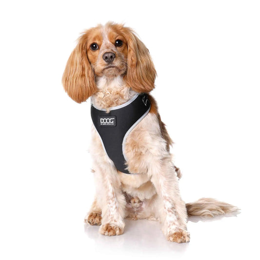 DOOG Neoflex Dog Harness Lassie Small Black – HARBFLSOFT-S