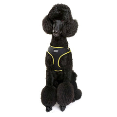 DOOG Neoflex Dog Harness Bolt Neon Large Black/Yellow – HARBOLT-L