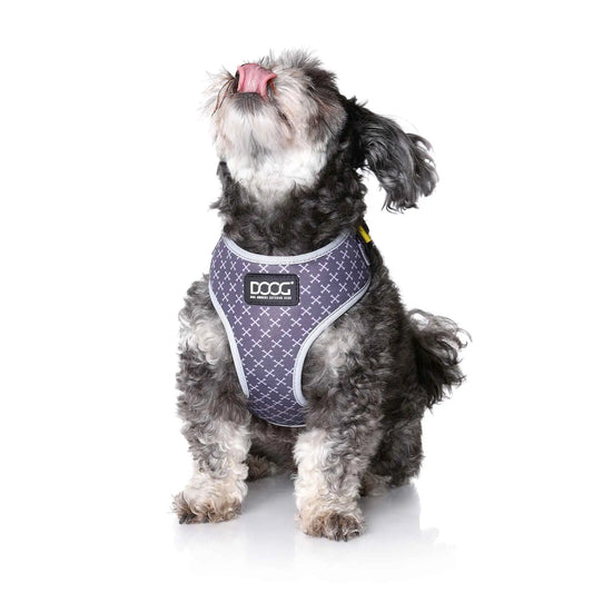 DOOG Neoflex Dog Harness Odie Small Black/Purple/Yellow – HARGYCSOFT-S