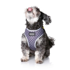 DOOG Neoflex Dog Harness Odie Large Black/Purple/Yellow – HARGYCSOFT-L