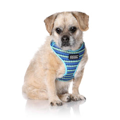 DOOG Neoflex Dog Harness Pluto Extra Small Blue – HARN1SOFT-XS