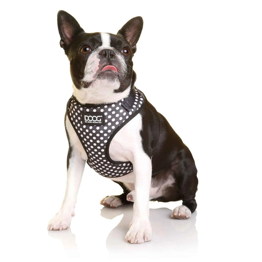 DOOG Neoflex Dog Harness Pongo Extra Small Black/White Polka Dot – HARN3SOFT-XS