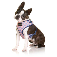 DOOG Neoflex Dog Harness Gromit Medium Blue/Pink – HARNRCSOFT-M