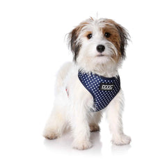 DOOG Neoflex Dog Harness Stella Medium Blue/White Polka Dot – HARNWSSOFT-M