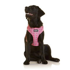 DOOG Neoflex Dog Harness Toto Large Pink – HARPBSSOFT-L