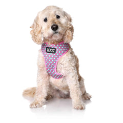 DOOG Neoflex Dog Harness Luna Large Pink/Blue – HARPTDSOFT-L