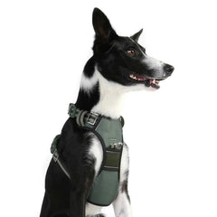 DOOG Neotech Dog Harness Large Green – HARTECHGREEN-L