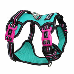 Doog Neotech Dog Harness Rin Tin Tin Large Blue/Pink/Black – HARTECHTIN-L