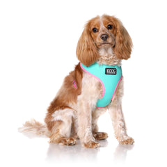 DOOG Neoflex Dog Harness Rin Tin Tin Neon Medium Teal/Pink – HARTIN-M