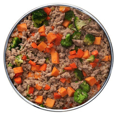 Gently Cooked Lamb & Carrot Recipe Pouches for Dogs -9oz